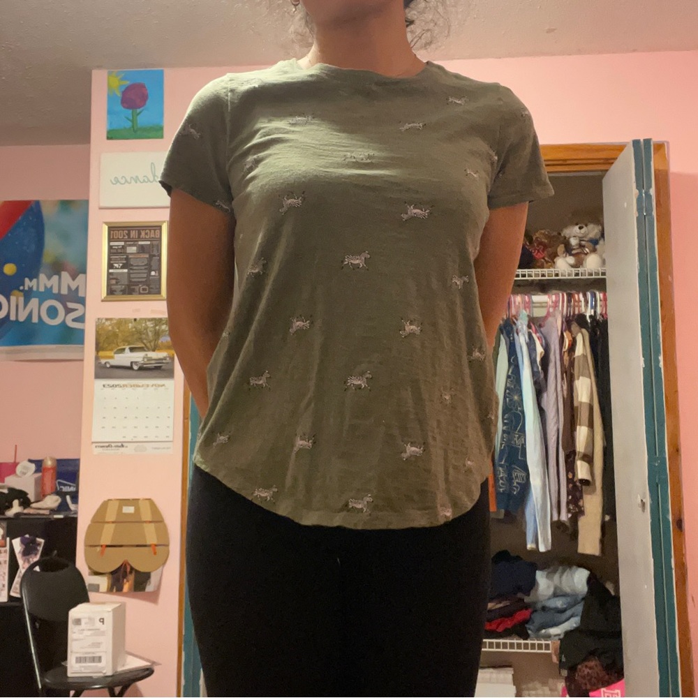 Green Zebra Old Navy T Shirt